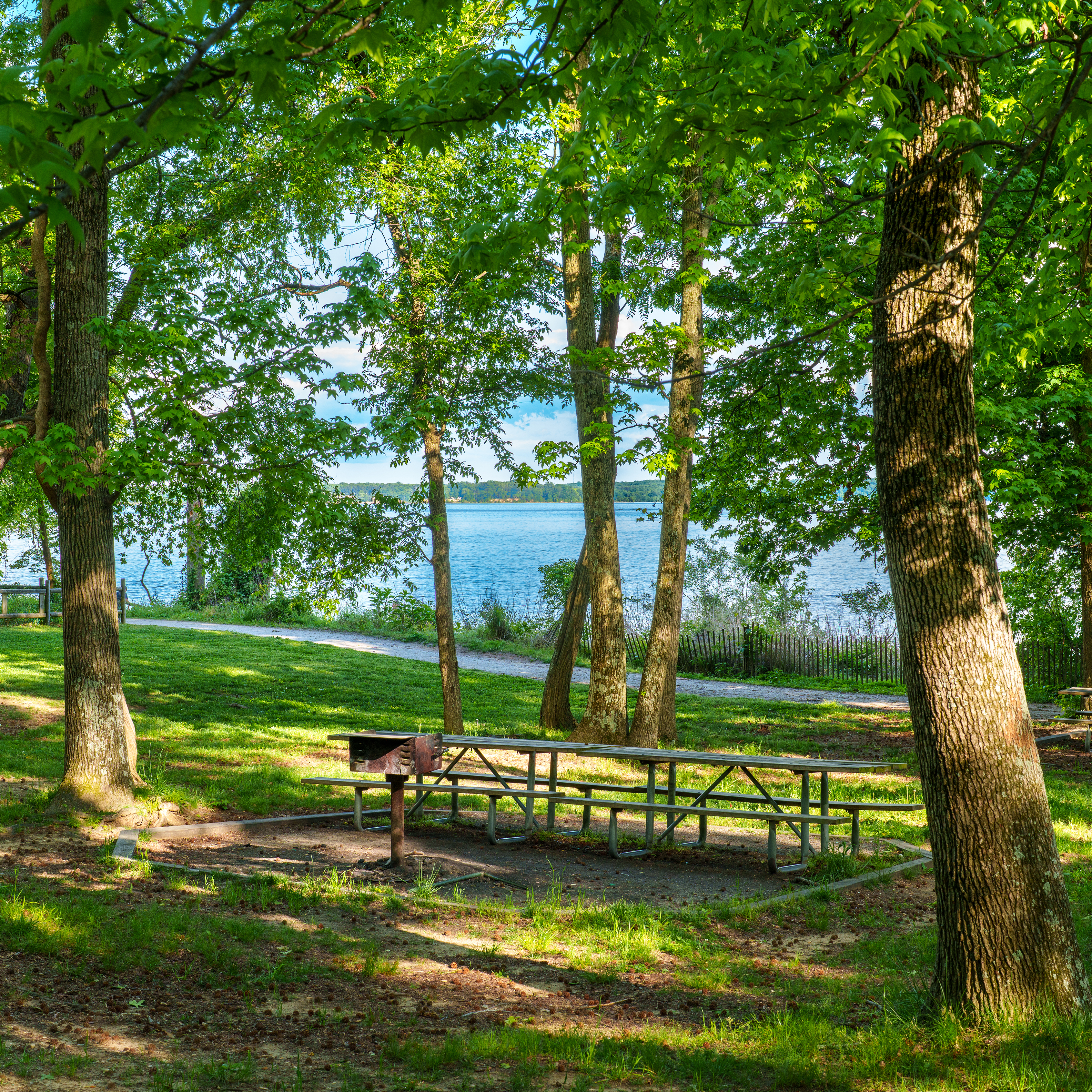 Picnic Table